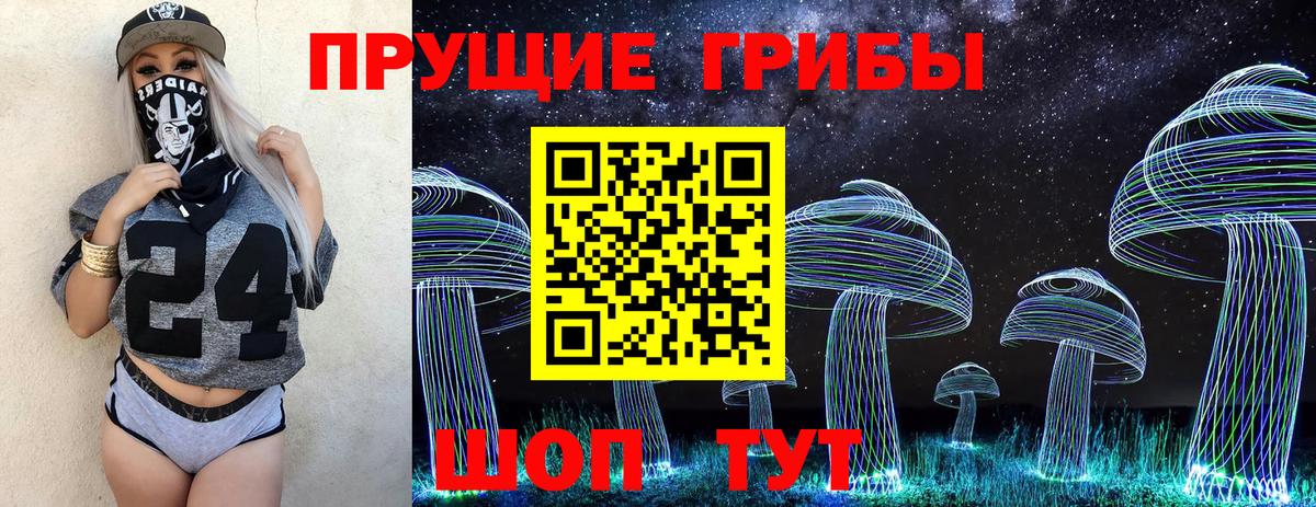 Железногорск  Галлюциногенные грибы GOLDEN TEACHER  Вход с VPN 