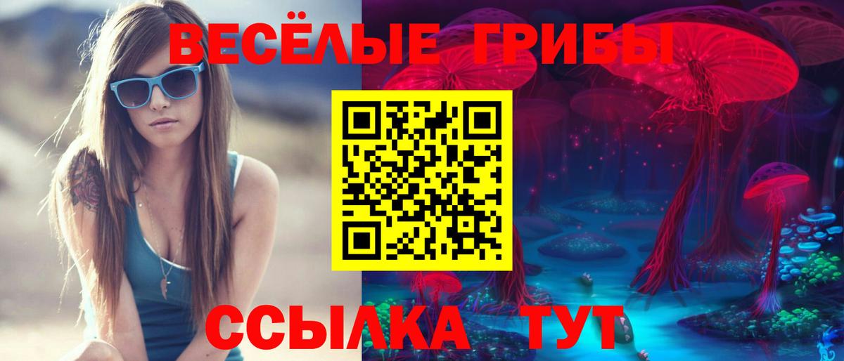 Псилоцибиновые грибы мицелий Железногорск